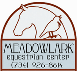 Detroit summer camps